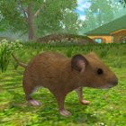 Mouse Simulator: rat rodent animal life
