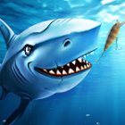 Real Fishing - Ace Fishing Hook game