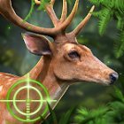 Deer Hunting 2021: Hunting Games Free